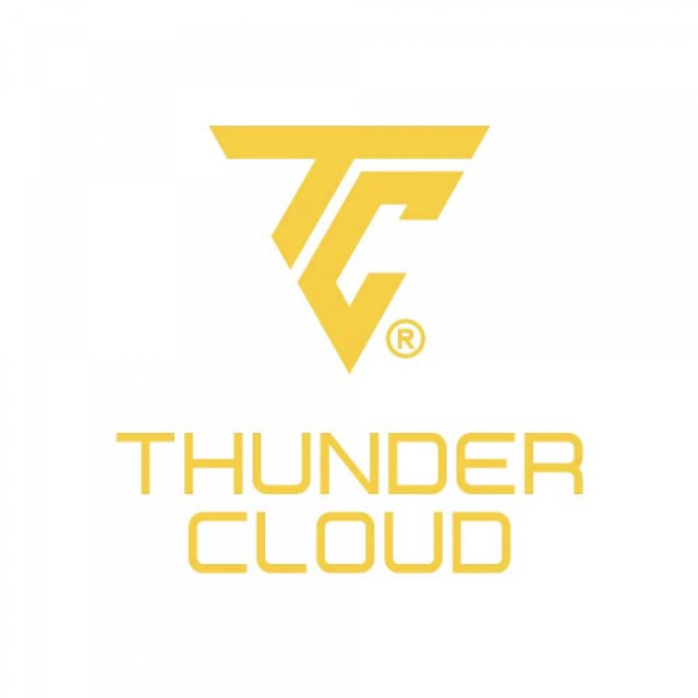 Thunder Cloud logo